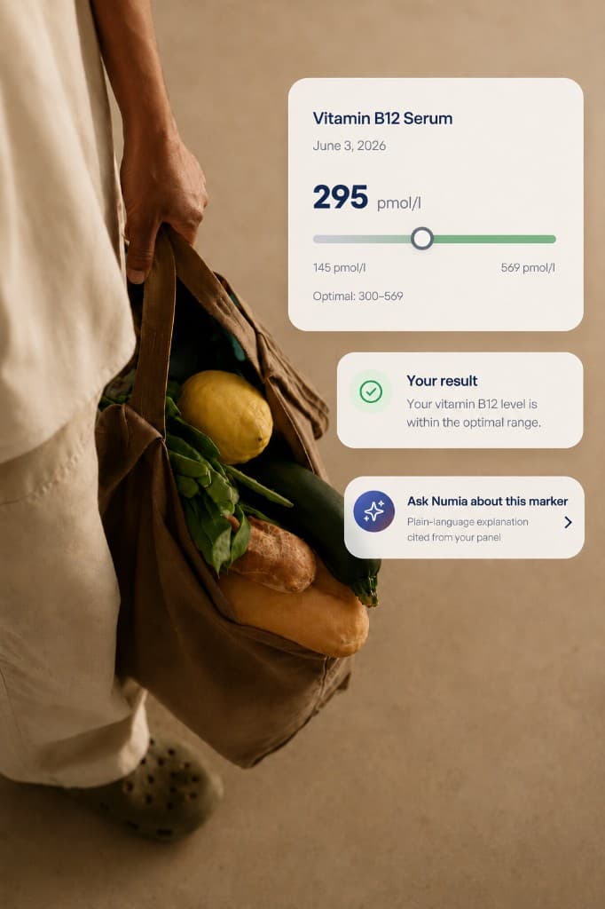 Vitamin B12 results and Numia AI explanation in the app